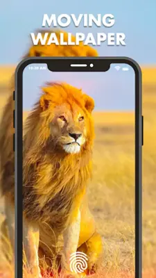 Video Live Wallpaper 4K android App screenshot 7